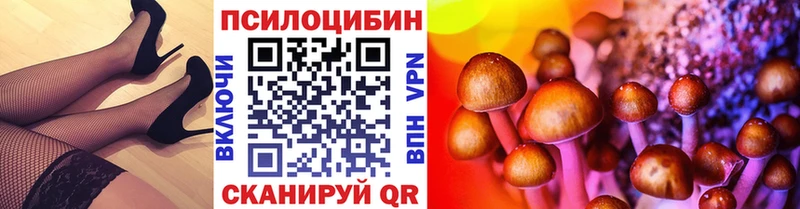 Псилоцибиновые грибы Cubensis  Суровикино 
